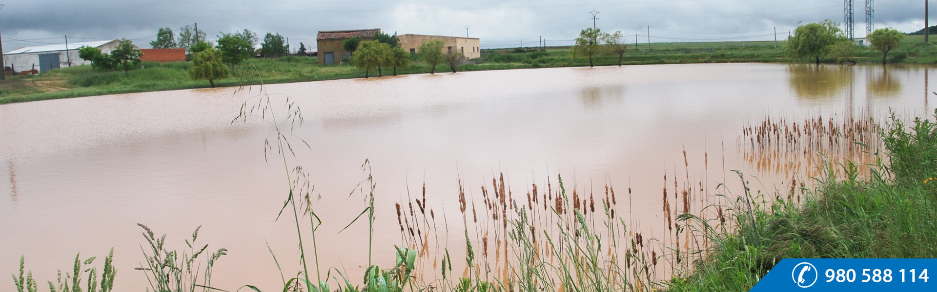 Manganeses de la Lampreana