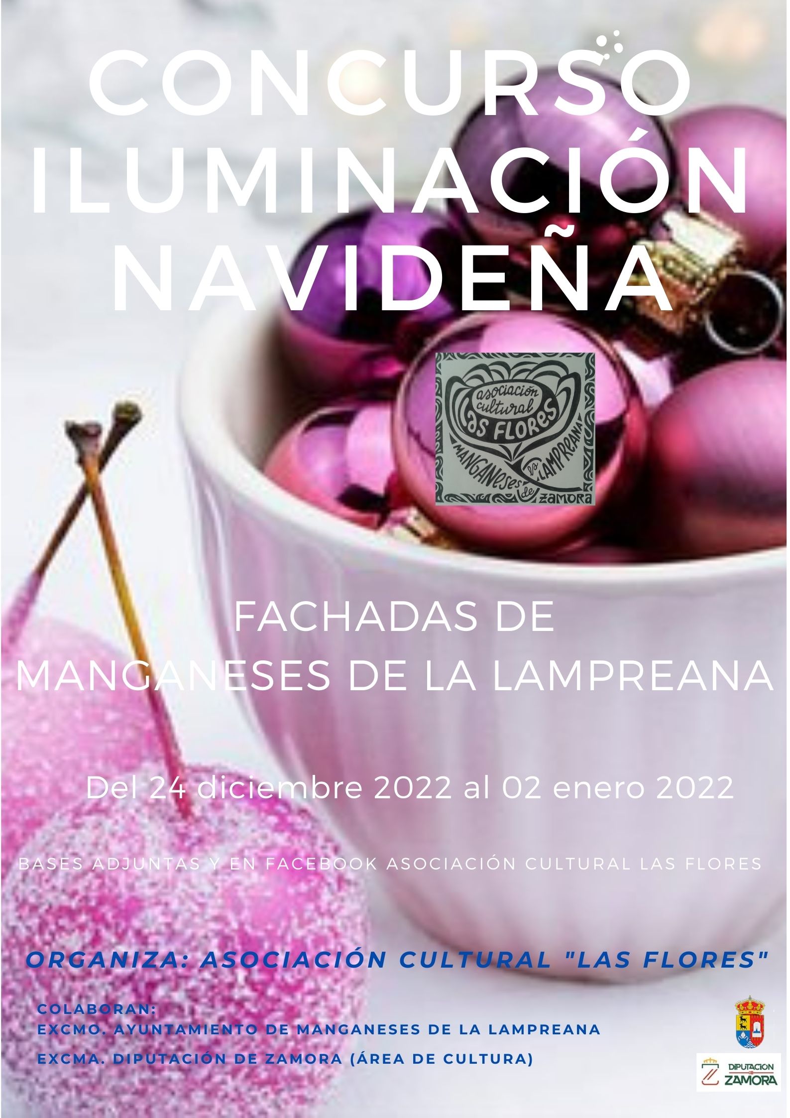Concurso de Iluminación Navideña en Manganeses de la Lampreana.