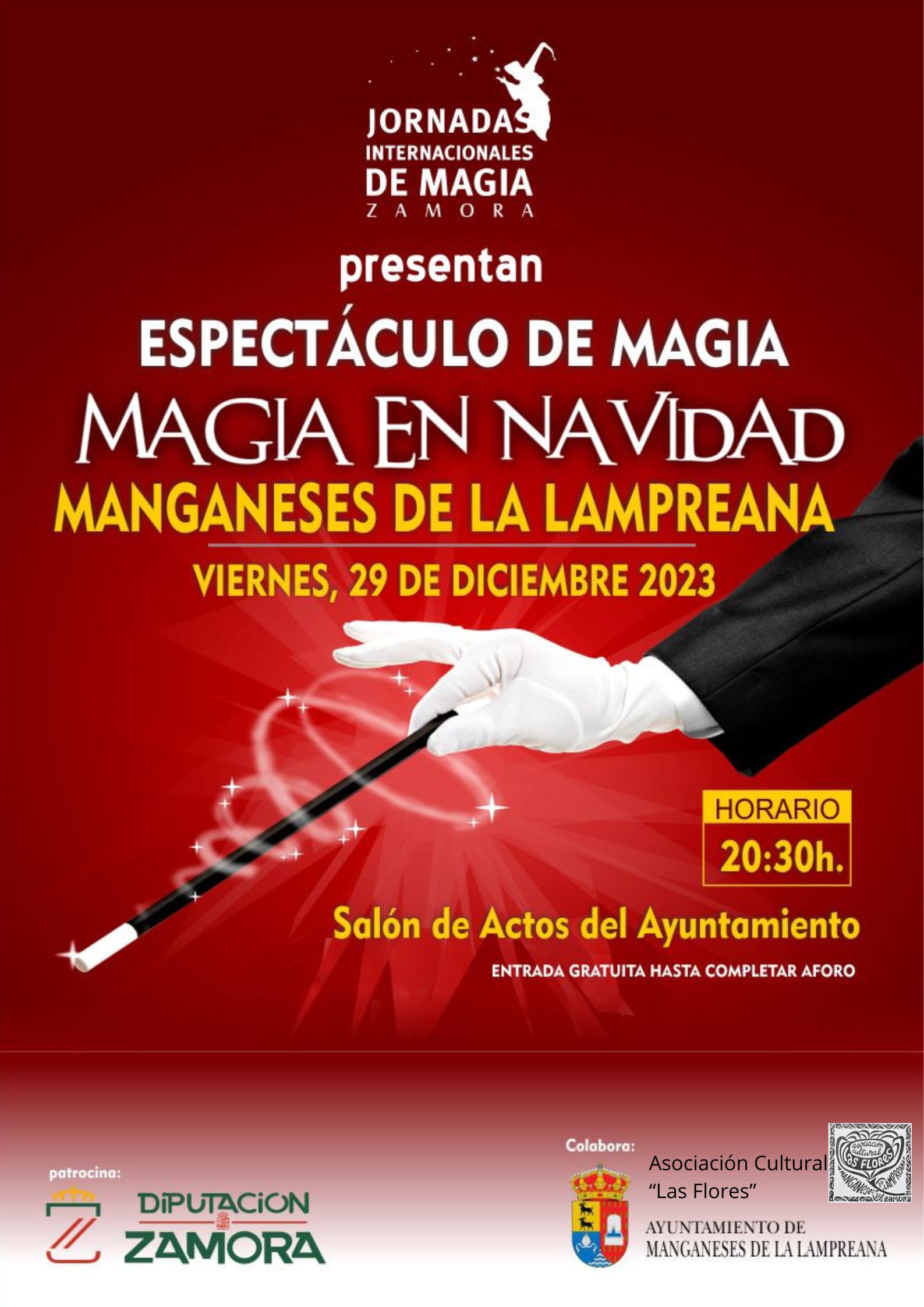 Espectáculo de Magia. Jornadas Internacionales de Magia en Zamora.
